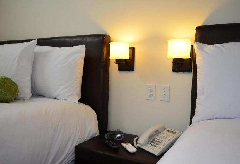 شقة سوبريور غرفة واحدة, Suites La Concordia