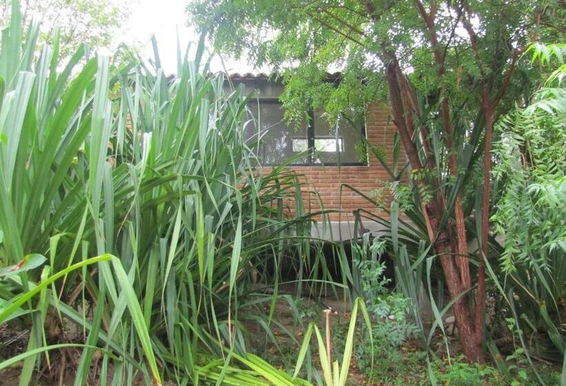 스탠다드 룸, Centro Sati Bungalow