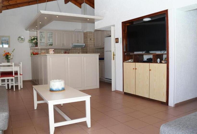 带1个卧室的顶楼公寓, Aris Studios