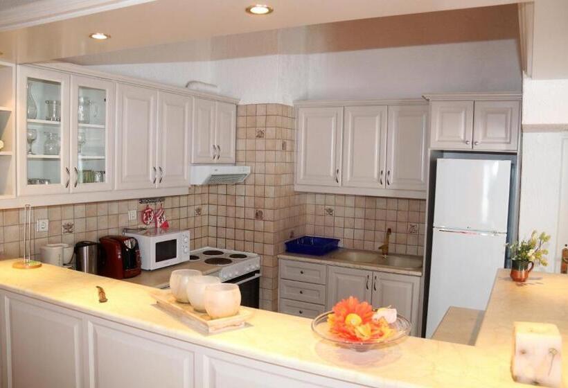 带1个卧室的顶楼公寓, Aris Studios