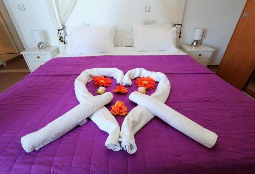 带1个卧室的顶楼公寓, Aris Studios