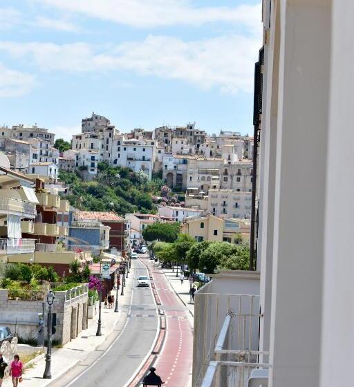 スタンダードルーム, Amyclae