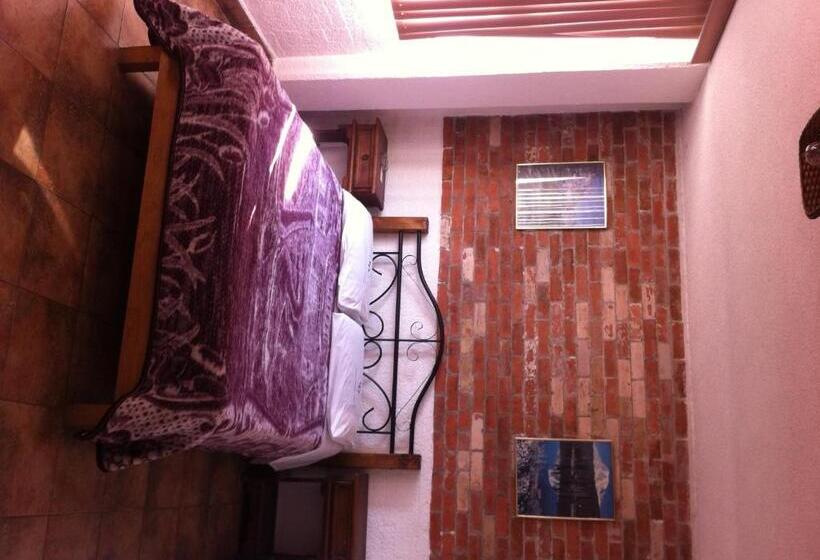 スタンダードルーム, Centro Diana