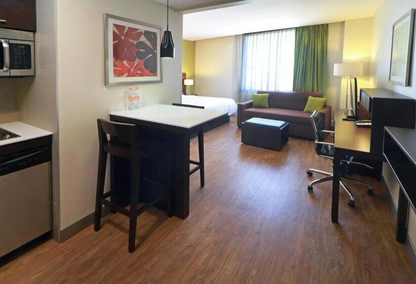 스탠다드 스튜디오 킹침대, Staybridge Suites San Luis Potosi, An Ihg