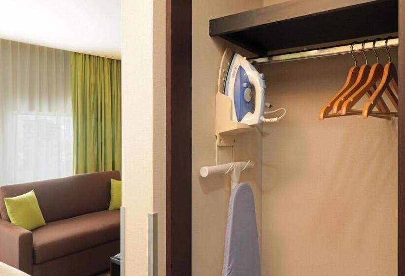 스탠다드 스튜디오 킹침대, Staybridge Suites San Luis Potosi, An Ihg