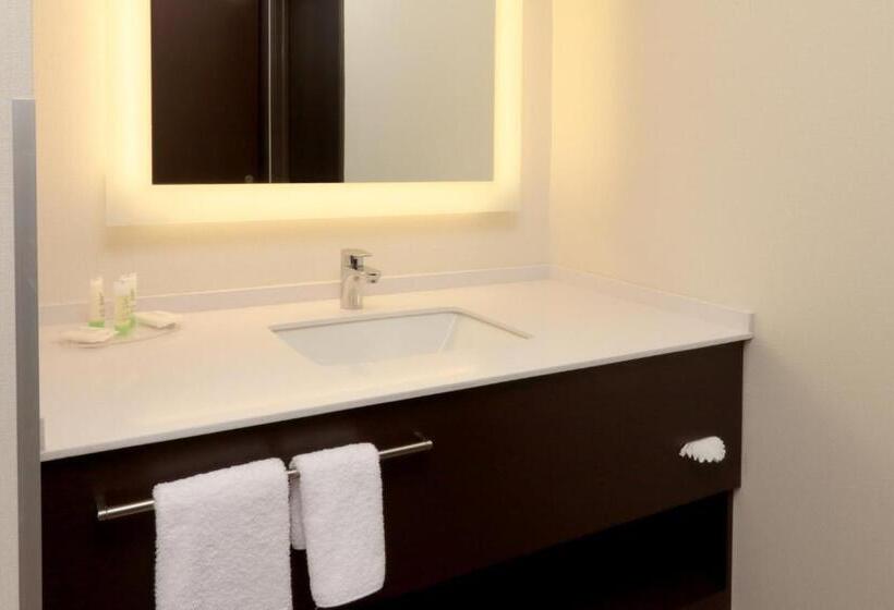 디럭스 룸, Staybridge Suites San Luis Potosi, An Ihg