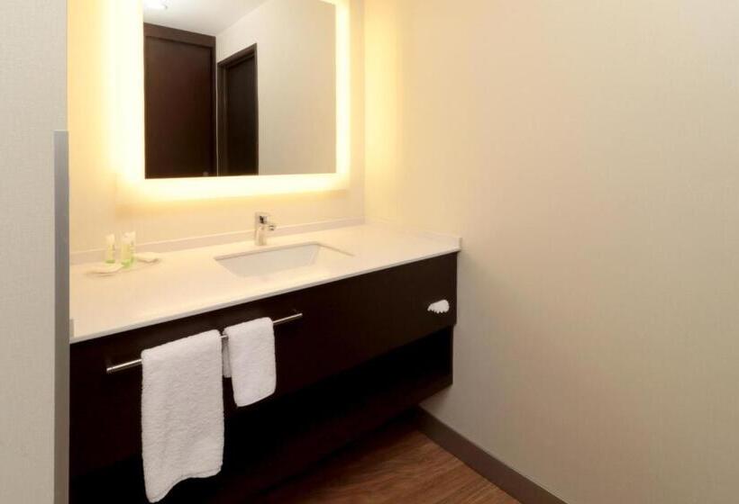 디럭스 룸, Staybridge Suites San Luis Potosi, An Ihg