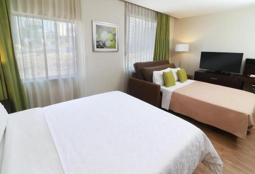 스탠다드 스튜디오, Staybridge Suites San Luis Potosi, An Ihg