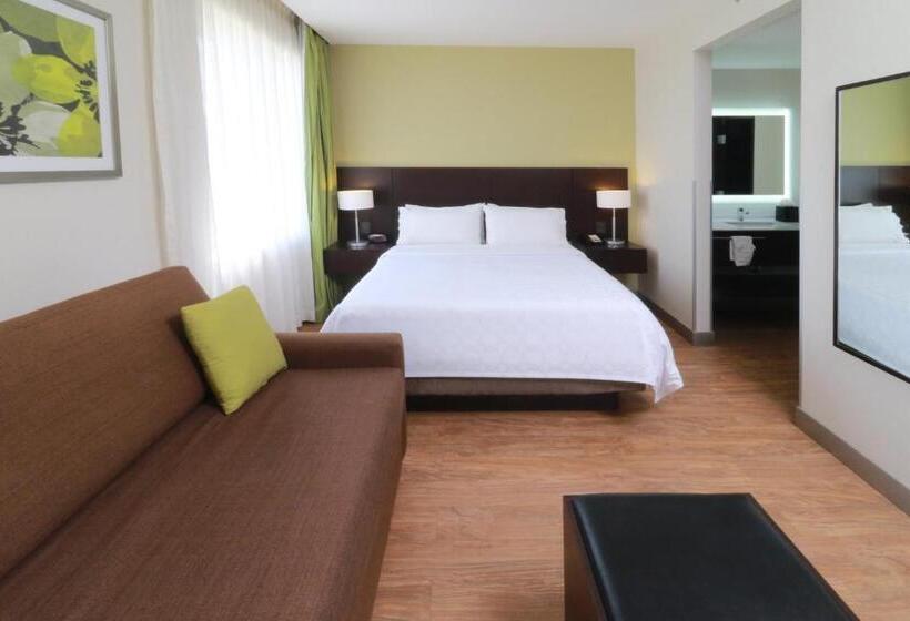 스탠다드 스튜디오, Staybridge Suites San Luis Potosi, An Ihg