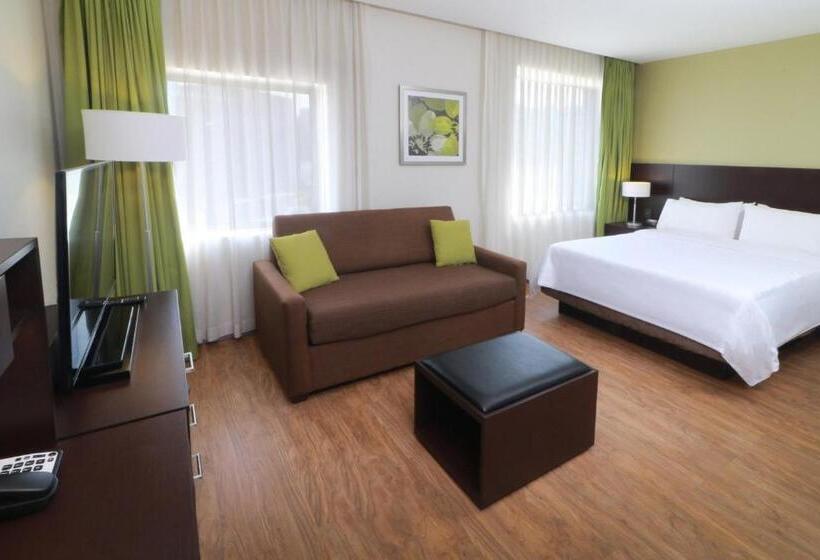 스탠다드 스튜디오, Staybridge Suites San Luis Potosi, An Ihg