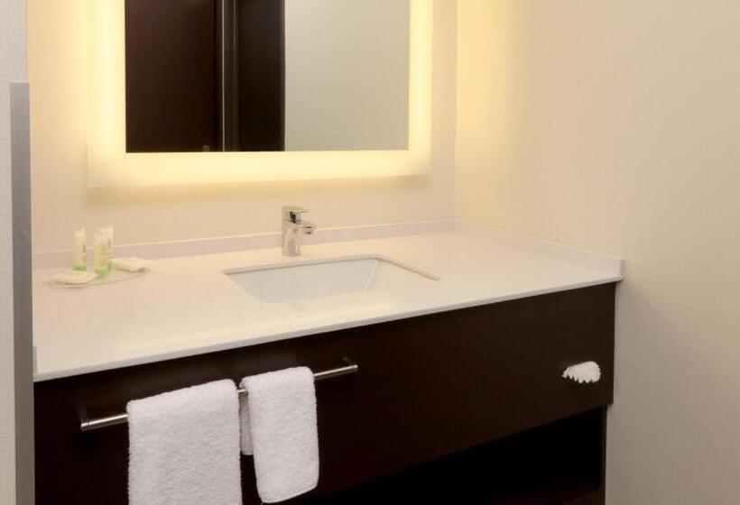 스탠다드 룸, Staybridge Suites San Luis Potosi, An Ihg