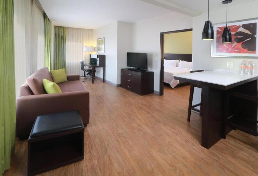 스위트, Staybridge Suites San Luis Potosi, An Ihg
