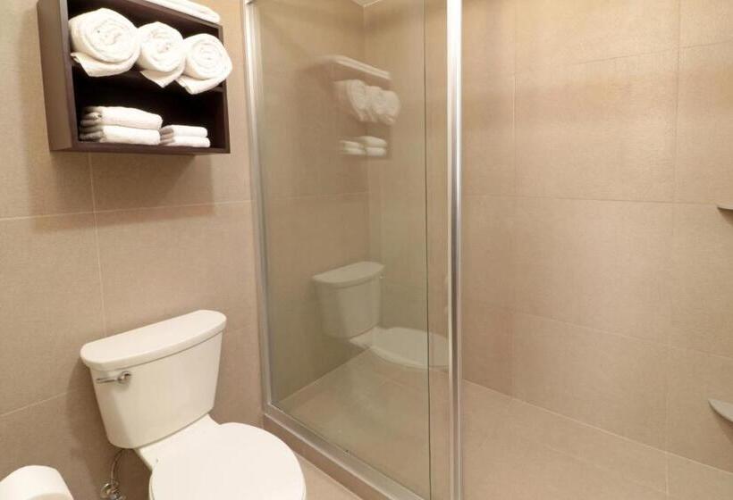 스위트, Staybridge Suites San Luis Potosi, An Ihg