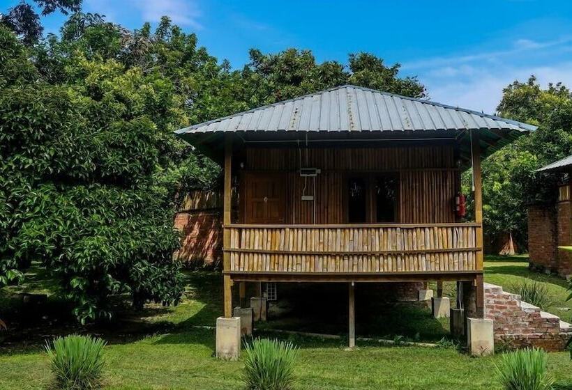 山の見えるスーペリアルーム, The Roots Eco Resort