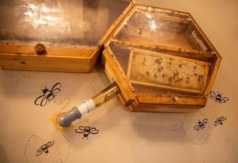 غرفة قياسية, High Paradise Farm