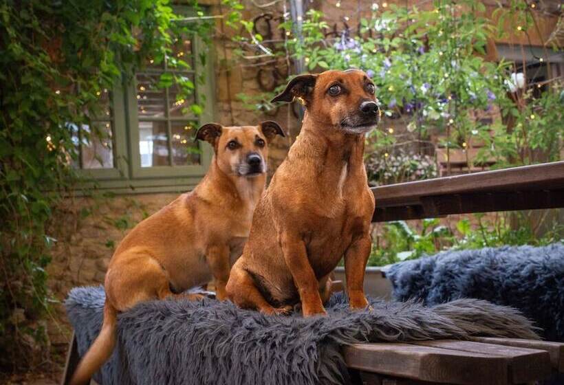 غرفة قياسية, High Paradise Farm