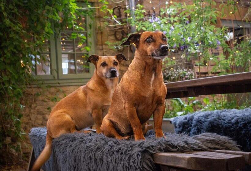 غرفة قياسية رباعية, High Paradise Farm