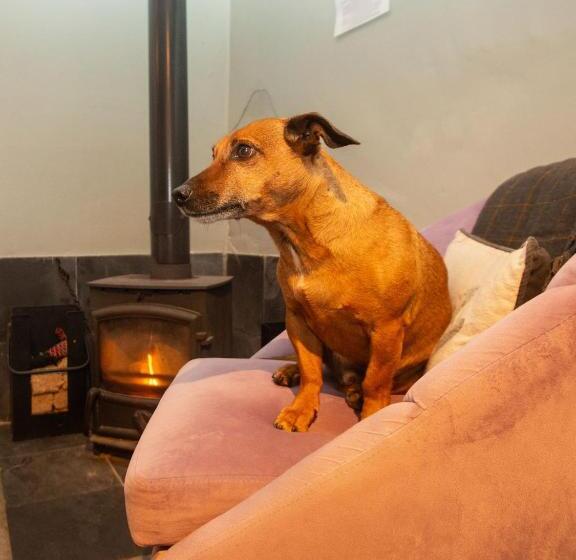 غرفة قياسية, High Paradise Farm