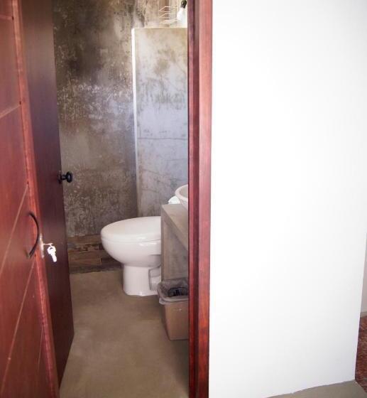 스탠다드 룸, Catre De Mi Corazón