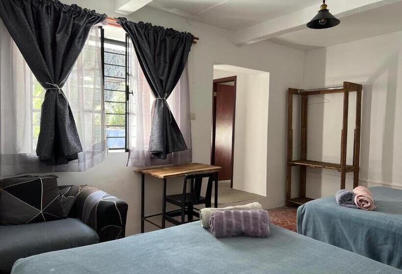 스탠다드 룸, Catre De Mi Corazón