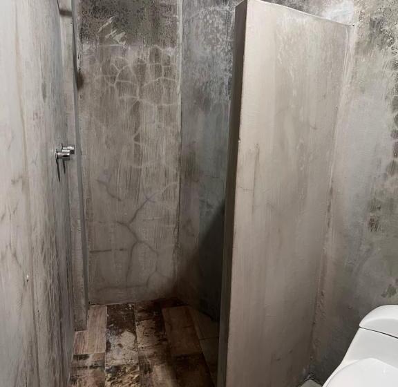 스탠다드 룸, Catre De Mi Corazón