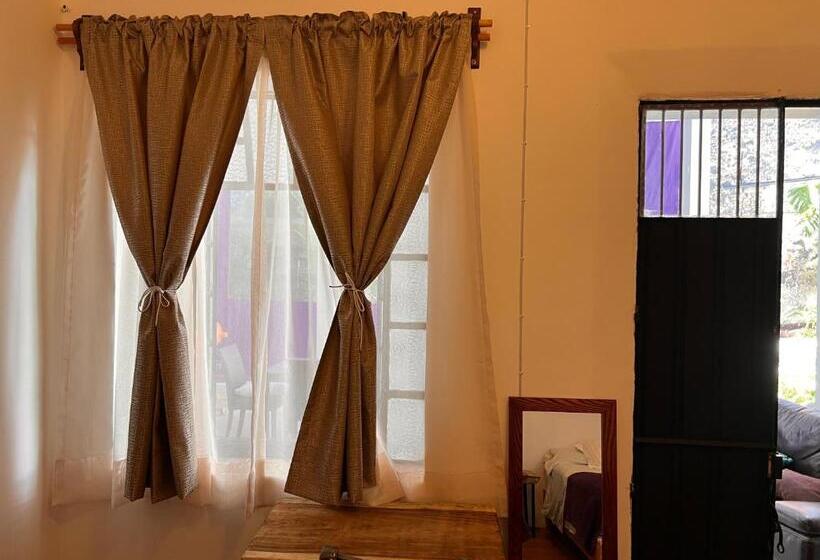 스탠다드 룸, Catre De Mi Corazón