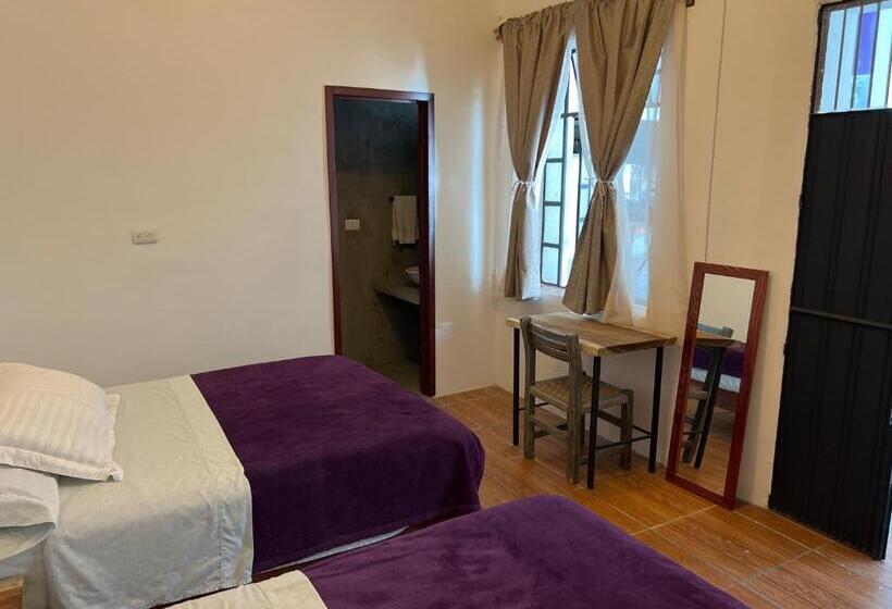 스탠다드 룸, Catre De Mi Corazón