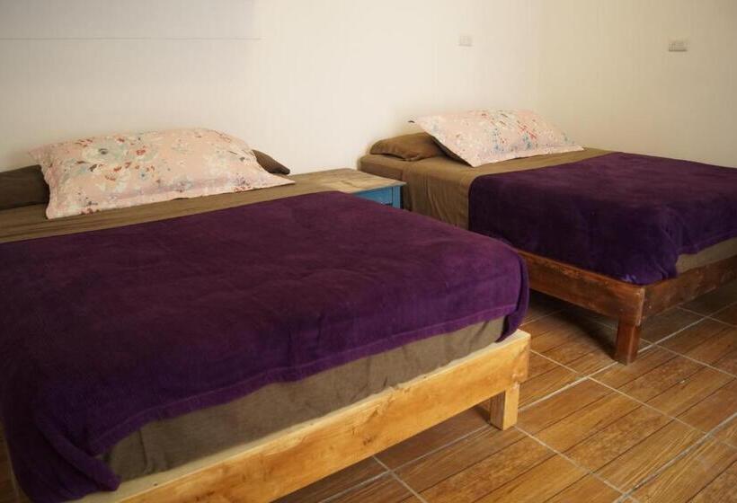 스탠다드 룸, Catre De Mi Corazón