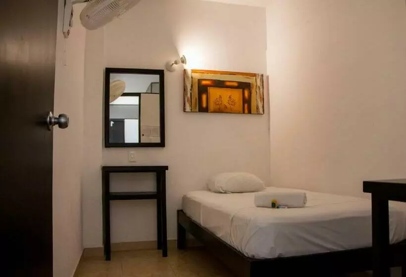 اتاق استاندارد یک تخته با سرویس بهداشتی مشترک, Hostal Gayser