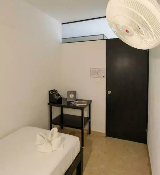 اتاق استاندارد یک تخته با سرویس بهداشتی مشترک, Hostal Gayser