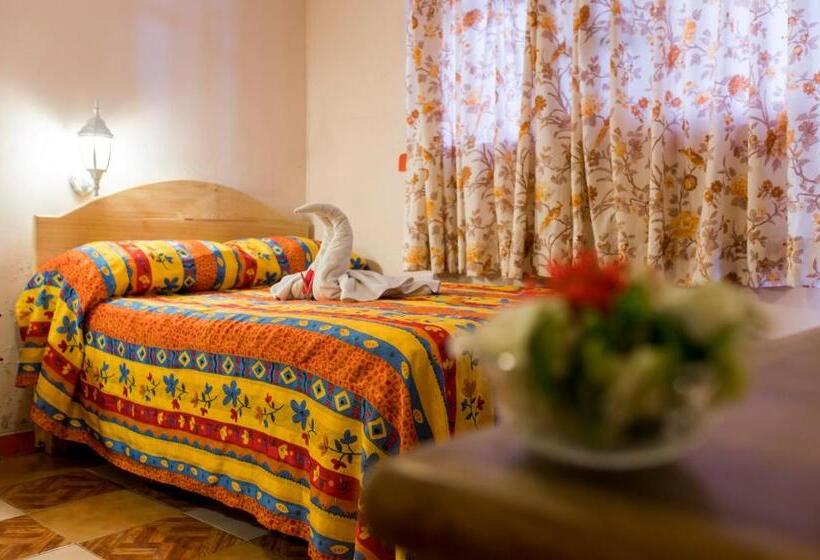 اتاق استاندارد یک نفره, Arisa