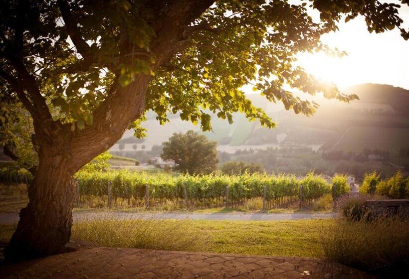 주니어 스위트 풀장 전망, Borgo Conde Wine Resort