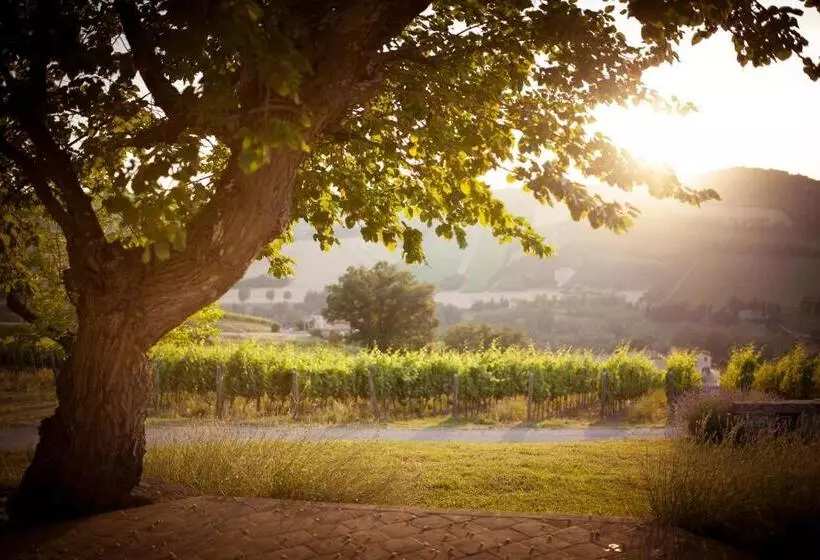 سوییت جونیور با چشم‌انداز استخر, Borgo Conde Wine Resort