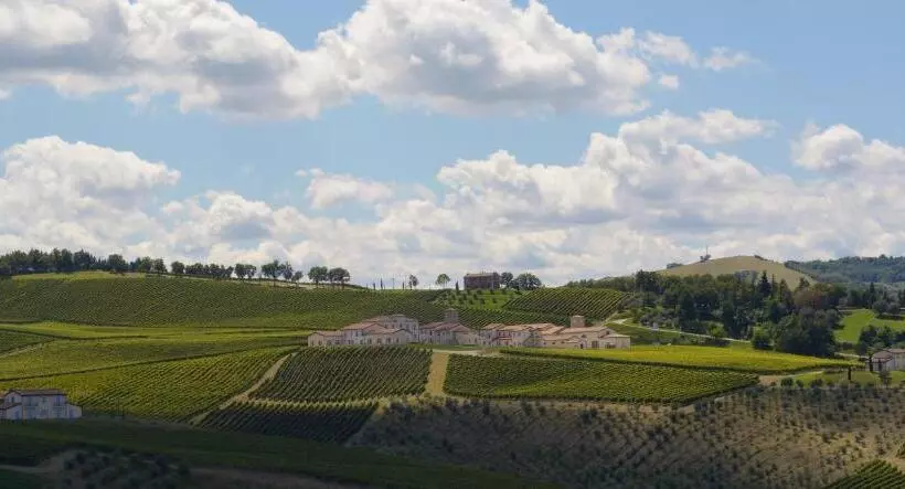 اتاق لوکس خانوادگی, Borgo Conde Wine Resort