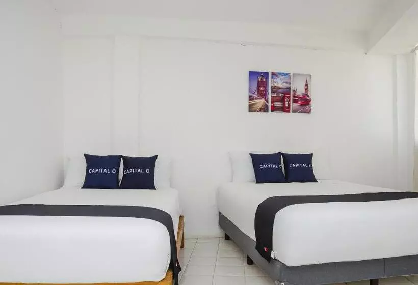 ファミリールーム, Capital O Hotel Dos Mares, Cabo San Lucas