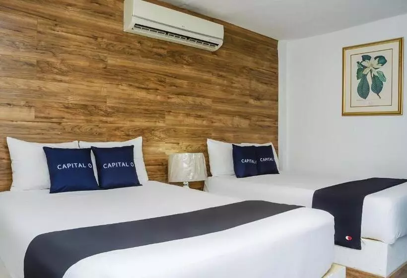 スタンダードルーム, Capital O Hotel Dos Mares, Cabo San Lucas