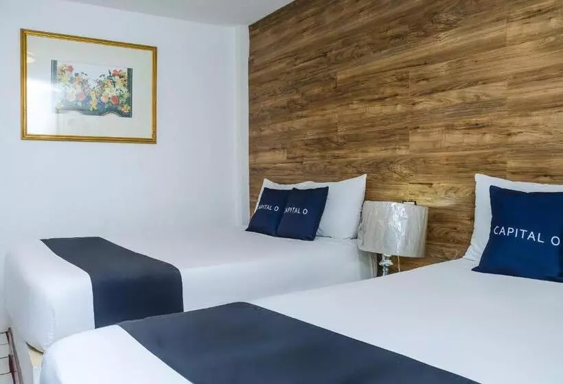 スタンダードルーム, Capital O Hotel Dos Mares, Cabo San Lucas