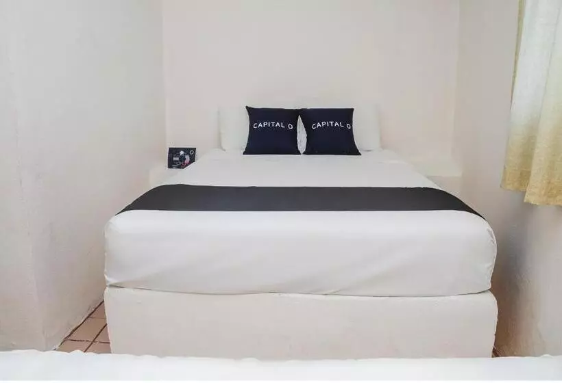 スタンダードトリプルルーム, Capital O Hotel Dos Mares, Cabo San Lucas