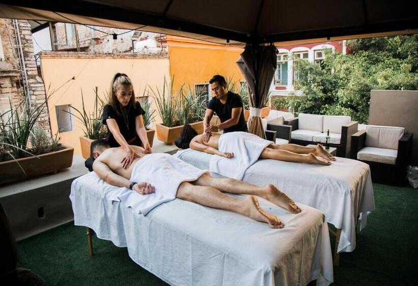 سوئیت جونیور با چشمانداز باغ, Spa Casa Del Sol