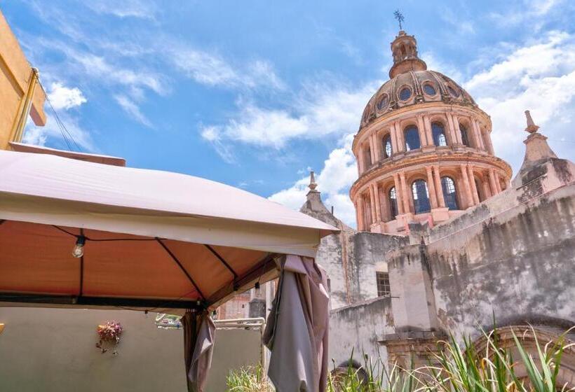 سوئیت جونیور با چشمانداز باغ, Spa Casa Del Sol