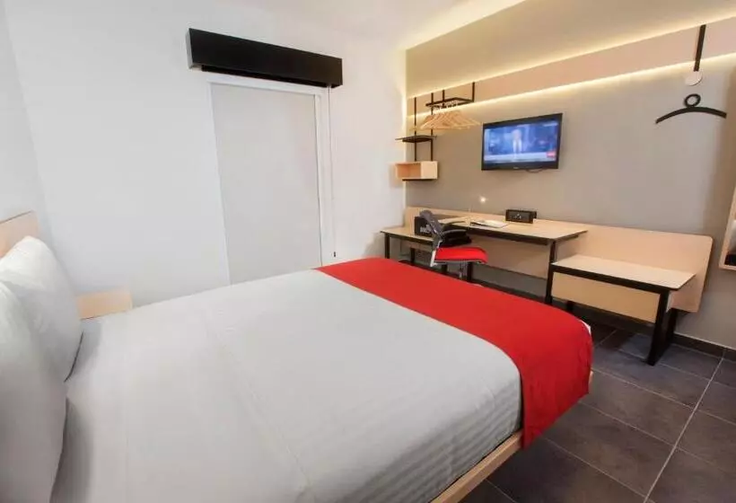 スタンダードルーム, City Express Plus By Marriott Cabo San Lucas