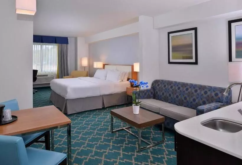 身障者適用スイートルーム, Holiday Inn Express And Suites West Ocean City, An Ihg