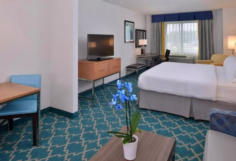 身障者適用スイートルーム, Holiday Inn Express And Suites West Ocean City, An Ihg