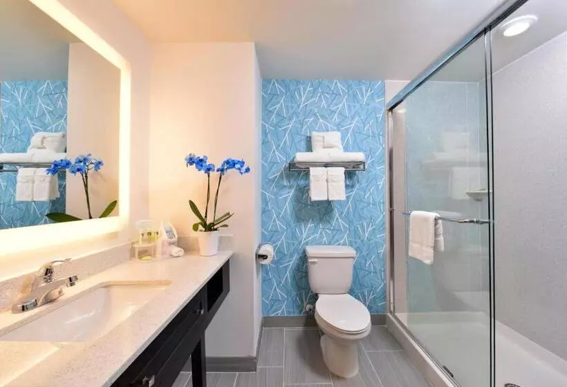 身障者適用スイートルーム, Holiday Inn Express And Suites West Ocean City, An Ihg