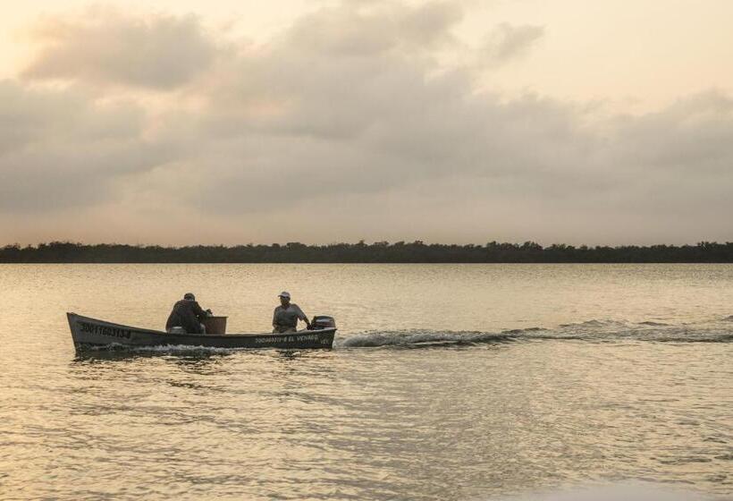 İki Çift Kişilik Yataklı Standart Oda, Isla Tajín
