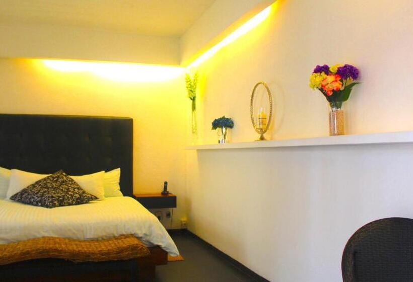 Standart Oda, Isla Tajín