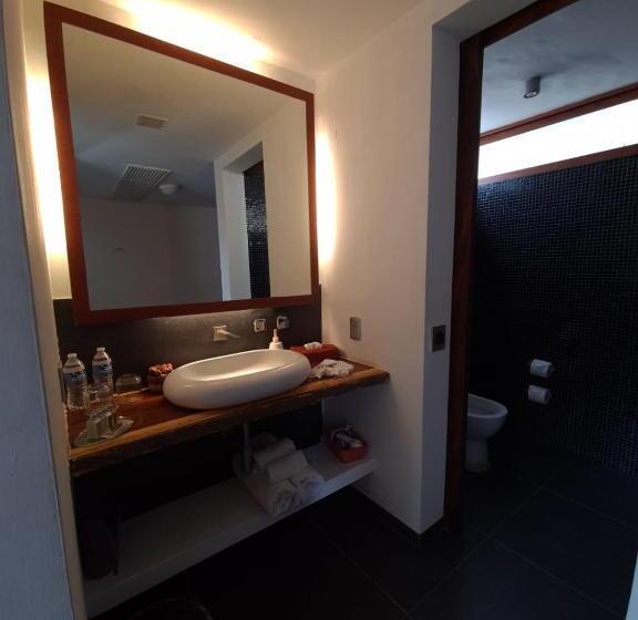 Quarto Estandar, Isla Tajín
