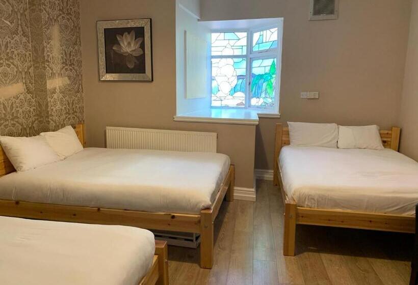 Полулюкс с Видом, New Union