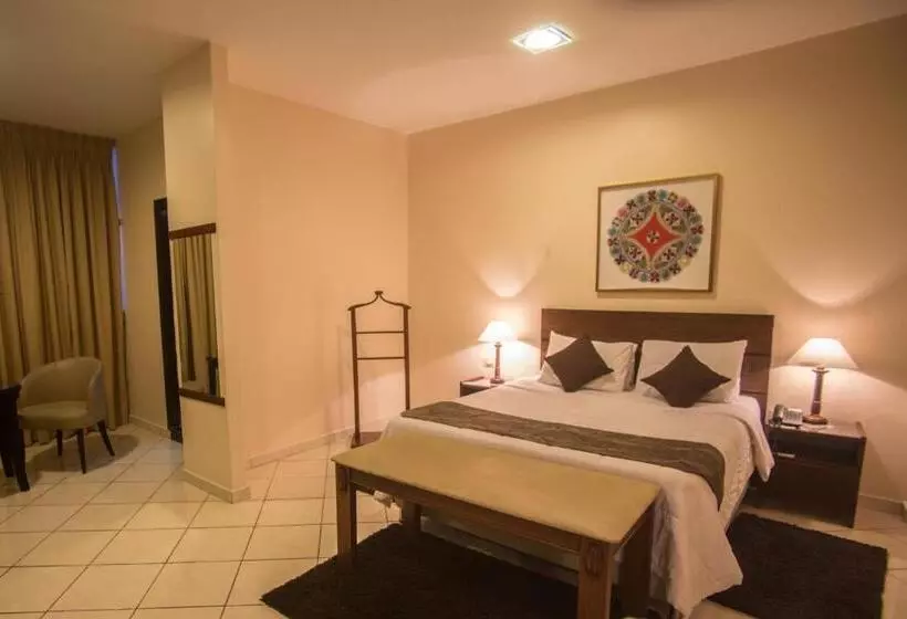 اتاق استاندارد یک نفره, Asunción Gran