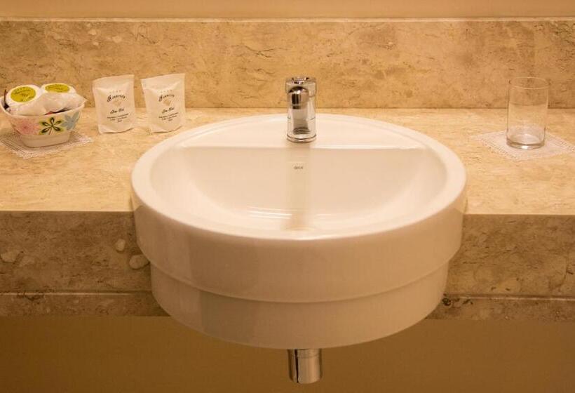 اتاق استاندارد یک نفره, Asunción Gran